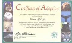 Adoption Certificate
